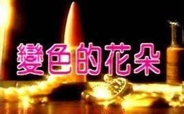 变色的花朵完结