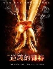 逆袭的青春完结