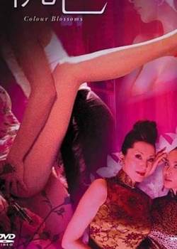 美丽2004完结