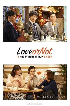 Love or Not10