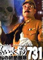 黑太阳731完结