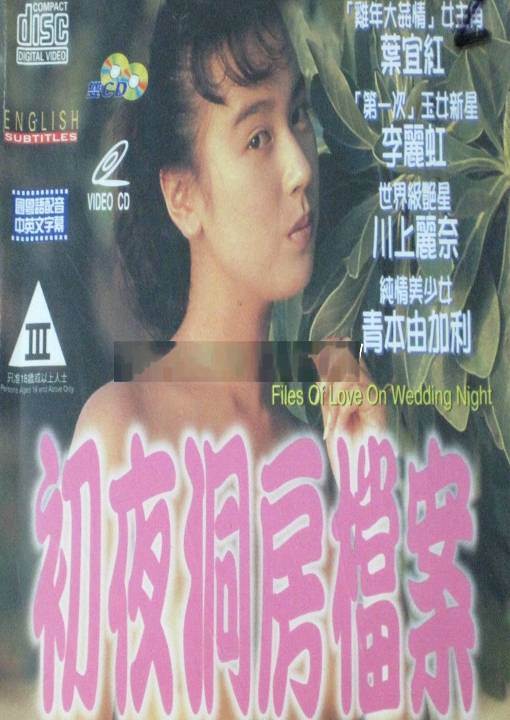 初夜洞房档案完结