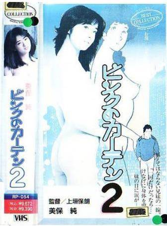 粉红的窗帘2完结