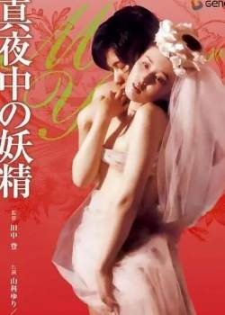 真夜中の妖精完结