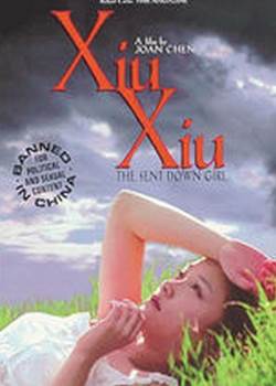秀秀1998完结