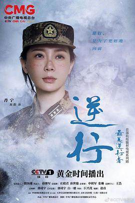 最美逆行者14集