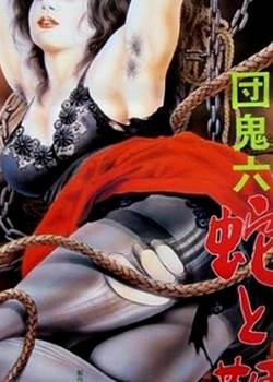 蛇与鞭完结