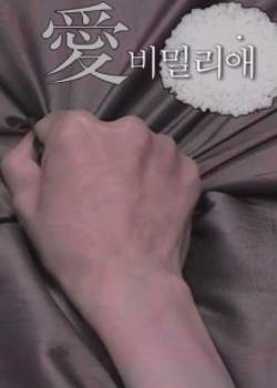 秘密情人韩国完结