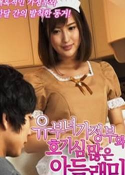 家庭主妇 女仆完结
