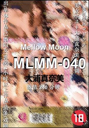 MLMM-040240 