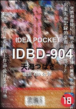 IDBD-904480 