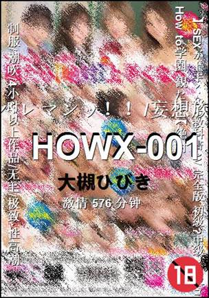 HOWX-001576 