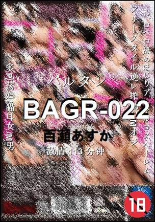 BAGR-022113 