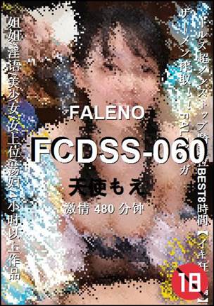 FCDSS-060480 