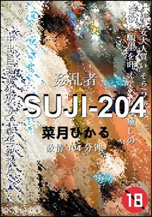 SUJI-204104 分钟
