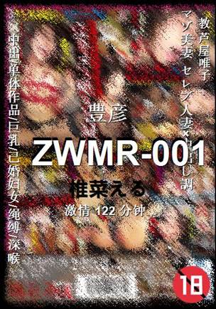 ZWMR-001122 