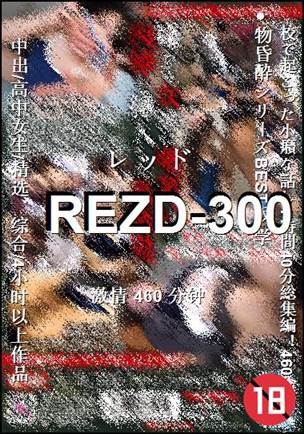 REZD-300460 分钟