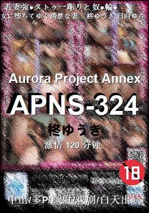 APNS-324120 