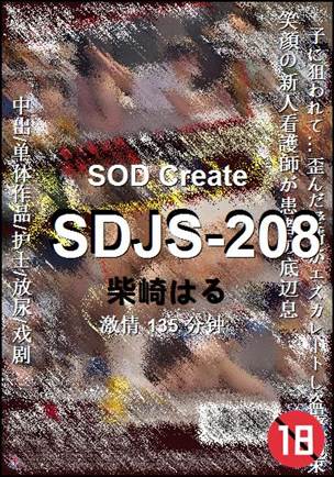 SDJS-208135 