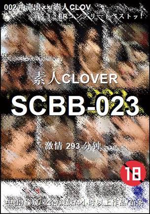 SCBB-023293 