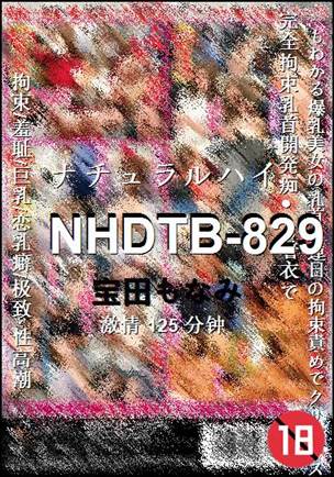 NHDTB-829125 