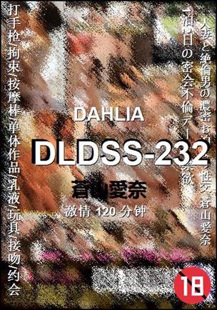 DLDSS-232120 分钟