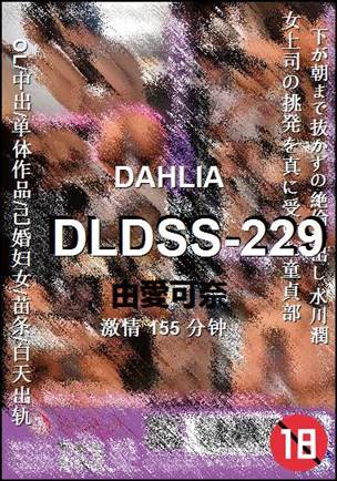 DLDSS-229155 