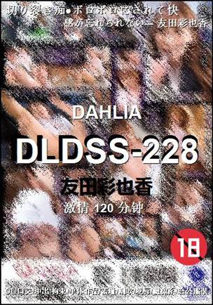 DLDSS-228120 分钟