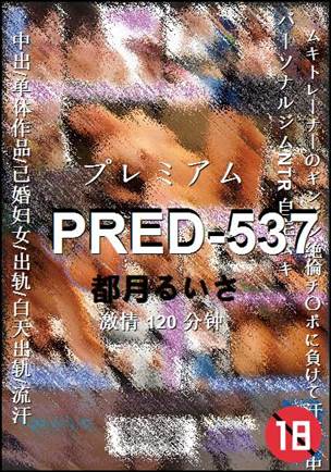 PRED-537120 分钟