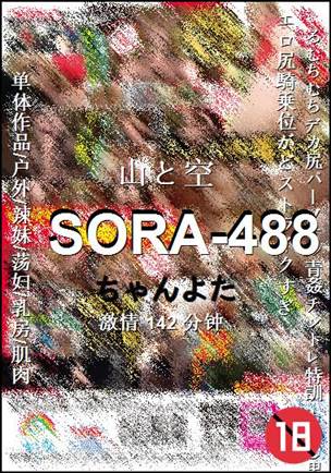 SORA-488142 
