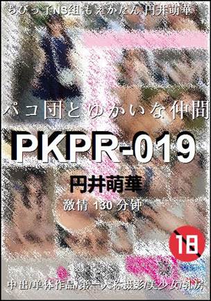 PKPR-019130 