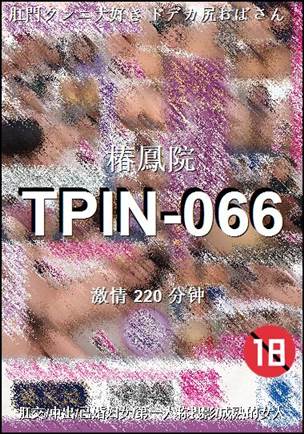 TPIN-066220 