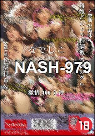 NASH-979166 
