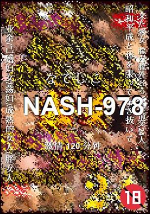 NASH-978120 