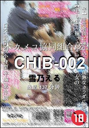 CHIB-002137 