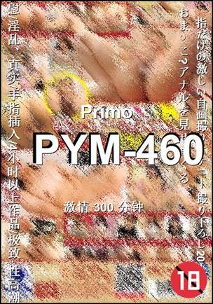 PYM-460300 