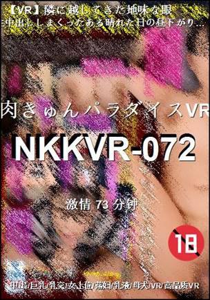 NKKVR-07273 