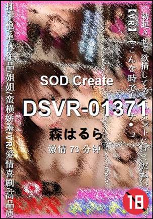 DSVR-0137173 分钟