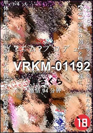 VRKM-0119294 