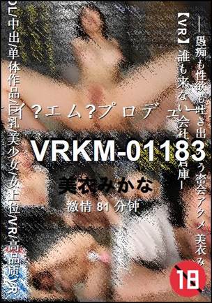 VRKM-0118381 