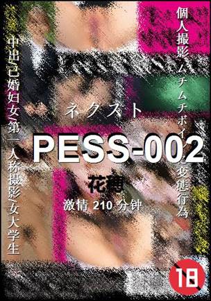 PESS-002210 