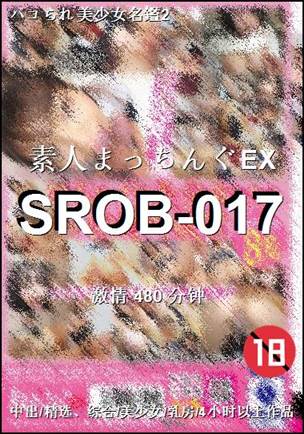 SROB-017480 