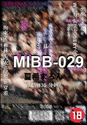 MIBB-029135 