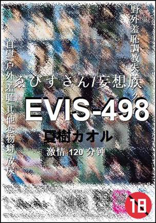 EVIS-498120 分钟