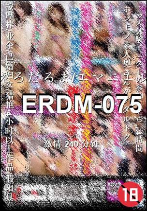 ERDM-075240 
