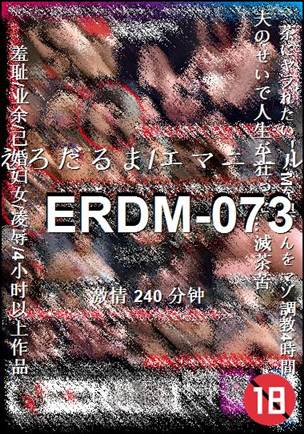 ERDM-073240 