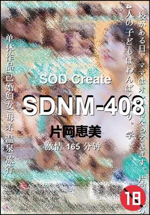 SDNM-408165 