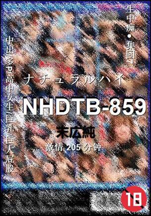 NHDTB-859205 