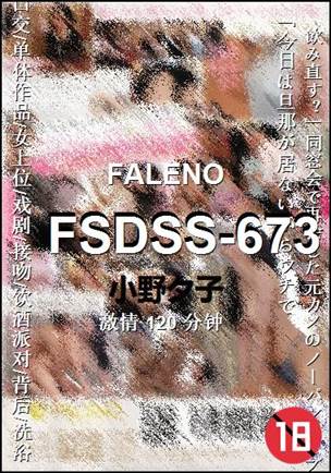 FSDSS-673120 