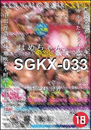 SGKX-033245 